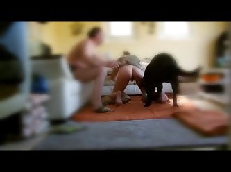 333px x 248px - Husband Teaches Dog To Fuck His Wife Knotted And Cummed In Licked Out K9 XXX