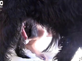 The Pain As The Dog's Penis Began To Swell At The