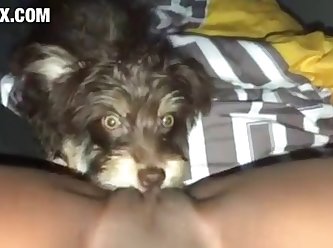 [480x270] Part 1 Puppy Eats Me On My Period z00.rocks = zoo porn without any ads Converted New