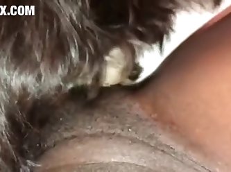 [480x270] Little Puppy Eats Me Out z00.rocks = zoo porn without any ads Converted New