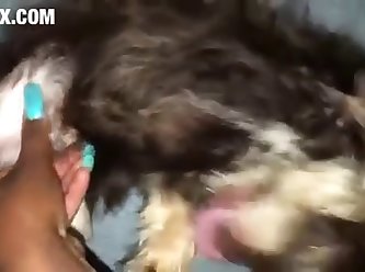 [480x270] Puppies Love Pussy z00.rocks = zoo porn without any ads Converted New