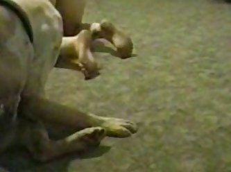 End Of His Cock. Dog Started Humping Her Face. He