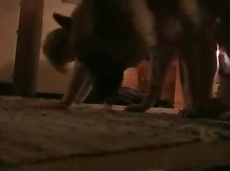 Sliding Into Her Pussy. Yyyyessss Right There. Dog