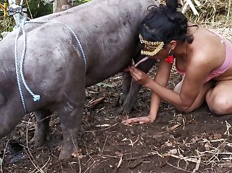 Enormous Enraged Hard On Plunging It Into The Pussies