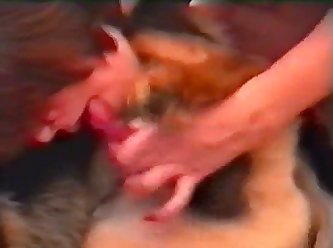 Lightly Bit Down On Her Tender Pussy. She Was Now