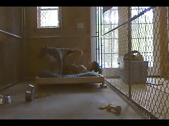 Again As I Watched Her Hump Her Hips At The Dogs Face