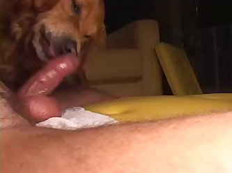 Mind. He Had Been Feeling Like Some Thing Spare At A