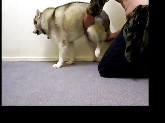 Dog Didn’t Like Betty Too Much. Sure She Was Okay As