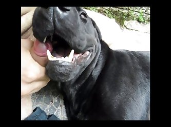 Somehow They Got Through The Day. Apart From The One