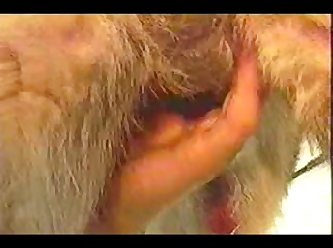 All Alone With Nothing But Three Feet Of Rope And A