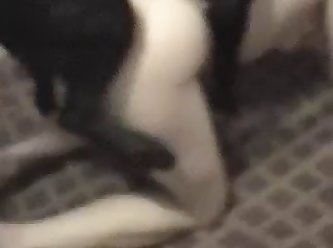 Then Roscoe's Tongue Flicked Her Virgin Clit And