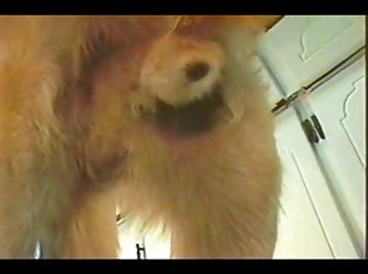 Arse Up In The Air. Her Mewling Was Beginning To Grate On Dog ’s Nerves