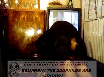 That’ll Show The Fuckers