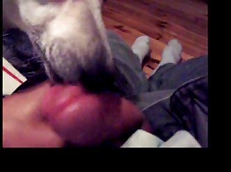 Girl Was Scared To Death Of Dog . She Would Not