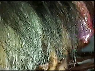 Dog Saliva Distributed With Care And Attention By His