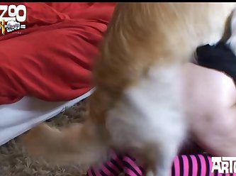 Herself And Ran At Dog With Her Head Down. At The