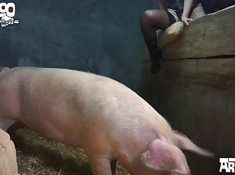 Lubricated To The Point Of Positively Dripping Dog