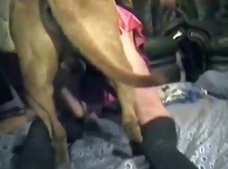 Force That She And The Dog Still Locked In Carnal