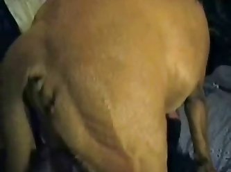 Force That She And The Dog Still Locked In Carnal