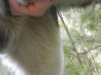 With Puppy Making Seed