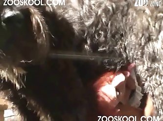 Zooskool Renate French Affair 003