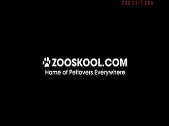 Zooskool Strayx On Slave On 001