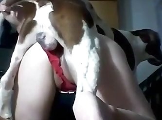 Black Amateur Dog Porn Girls 3 On 1 Orgy