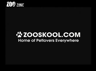 Zooskool Strayx Missionary Impossible 001