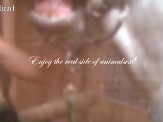 Animalsexfuncom