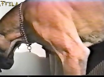 Free Video Free Video