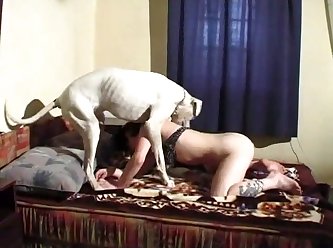 Www Free Videos