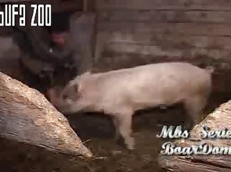 Mistress Beast Boar Dom