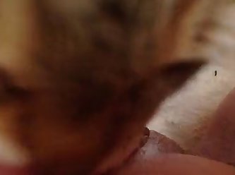 Kitten Licking Coconut Oil Off My Clit And Pussy Lips 4