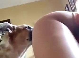 Dog Licking