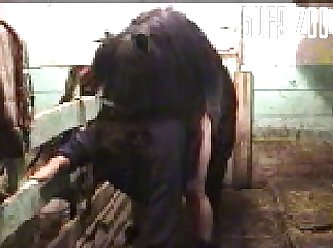 Zoo Mistress Beast Horse In Stall Incredible Cumshot In Pussy