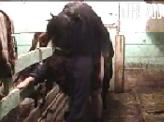 Zoo Mistress Beast Horse In Stall Incredible Cumshot In Pussy