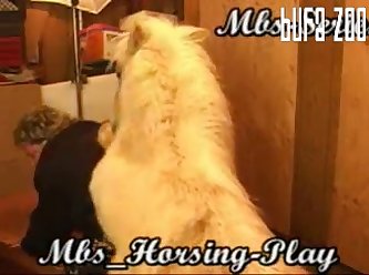 Mbs Horse Play