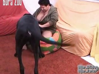 Mbs Dildog