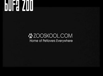 Zooskool Strayx The Record