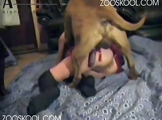 Harrie Pound Sessions