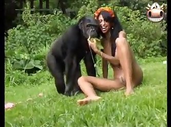 Monkey And Brasilian Girls