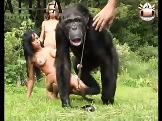 Monkey And Brasilian Girls