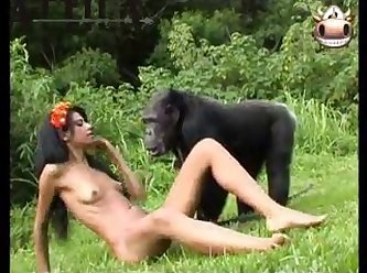 Monkey And Brasilian Girls