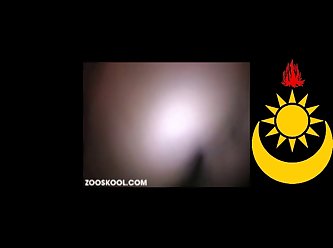 Zooskool Dog One
