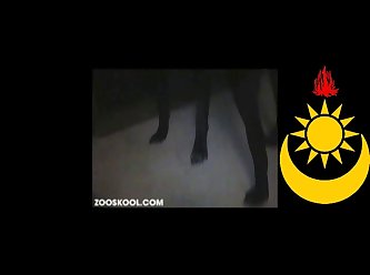 Zooskool Dog One