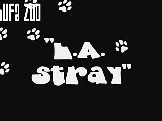 Zooskool Strayx Stray L. A.