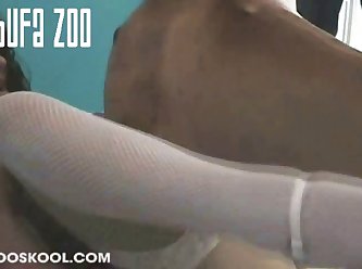 Zooskool Strayx Stray L. A.