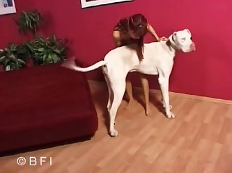 Just One Of My Dogs 003