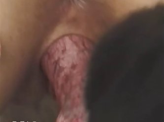Dog Fuckers 30 008
