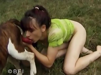 Private Dog Show 010